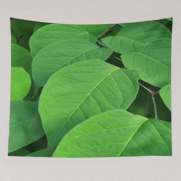 Item preview, Leafs designed and sold by Rainbowland123.