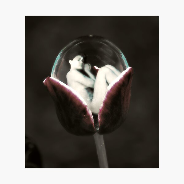 Item preview, Where Pixies grow... designed and sold by synister1.