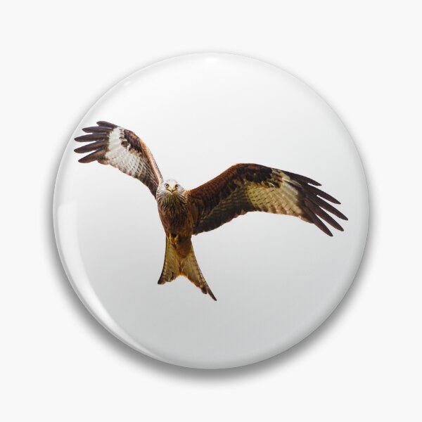 Item preview, Red Kite Soaring High designed and sold by Grang Art Artistic Designs.
