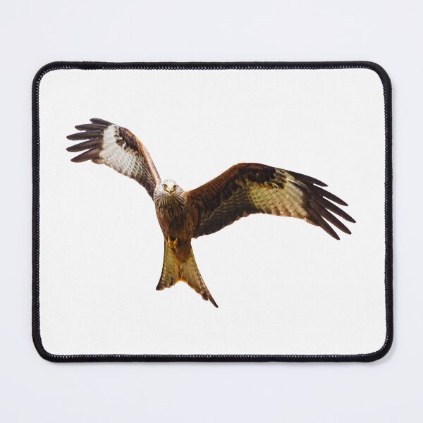 Item preview, Red Kite Soaring High designed and sold by Grang Art Artistic Designs.