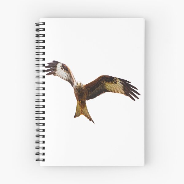 Item preview, Red Kite Soaring High designed and sold by Grang Art Artistic Designs.