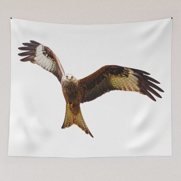 Item preview, Red Kite Soaring High designed and sold by Grang Art Artistic Designs.
