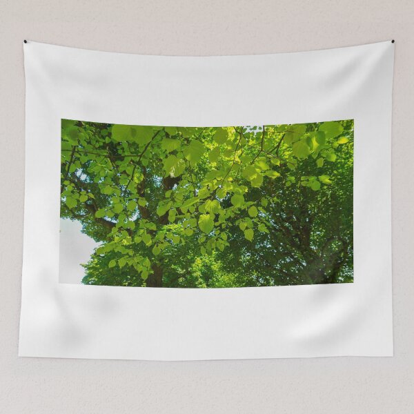 Item preview, Green leaves on trees with sunshine on them designed and sold by dabingboshi.
