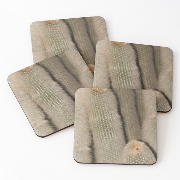 Item preview, Old Man Cactus Botanic Garden designed and sold by eddiebarronshop.