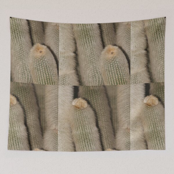 Item preview, Old Man Cactus Botanic Garden designed and sold by eddiebarronshop.