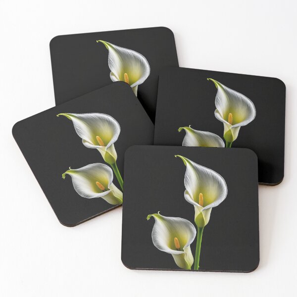 Item preview, Calla Lily flower isolated on black background  designed and sold by cheekylorns.