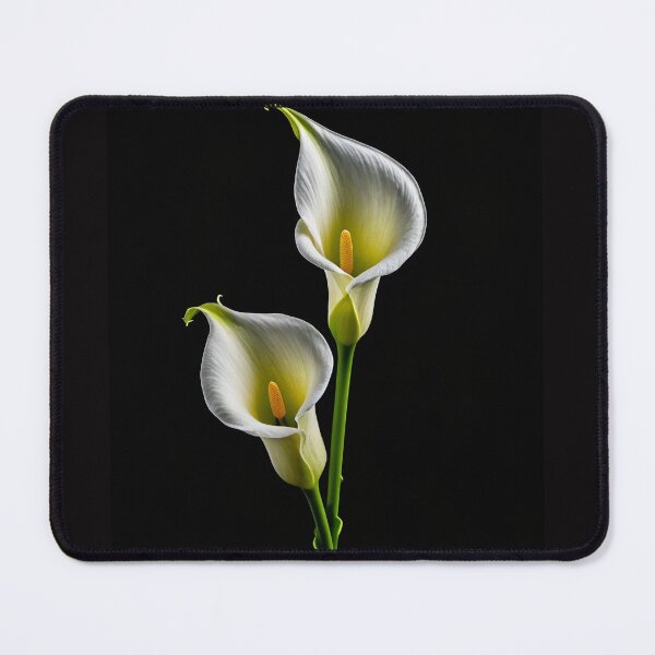Item preview, Calla Lily flower isolated on black background designed and sold by cheekylorns.
