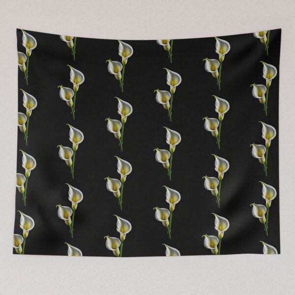 Item preview, Calla Lily flower isolated on black background  designed and sold by cheekylorns.