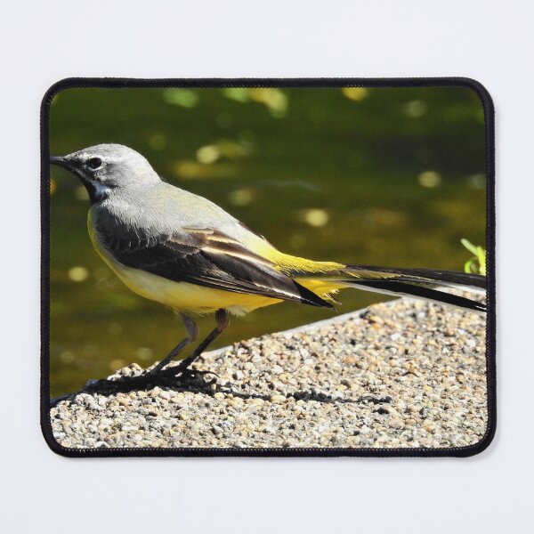 Item preview, ON CLAPTON POND 2 designed and sold by NatureWatch10.