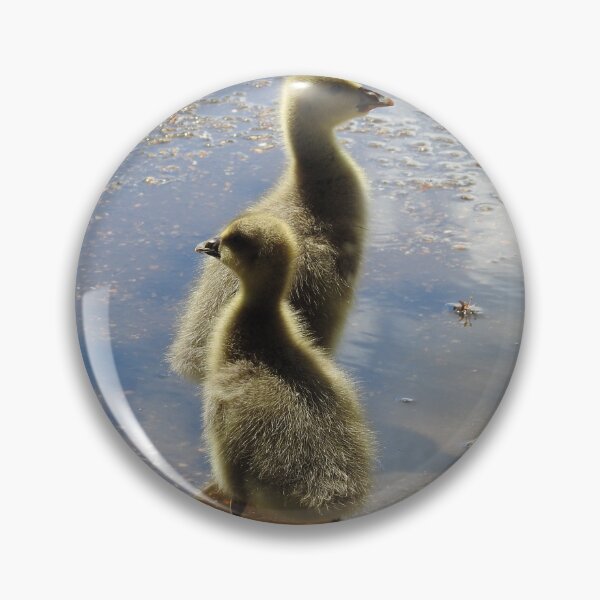 Item preview, GOLDEN GEESE designed and sold by NatureWatch10.