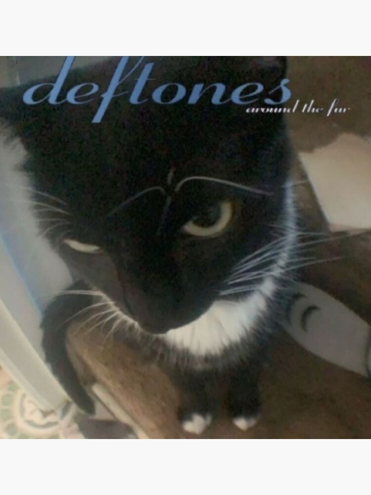 DEFTONES AROUND THE FUR Sticker