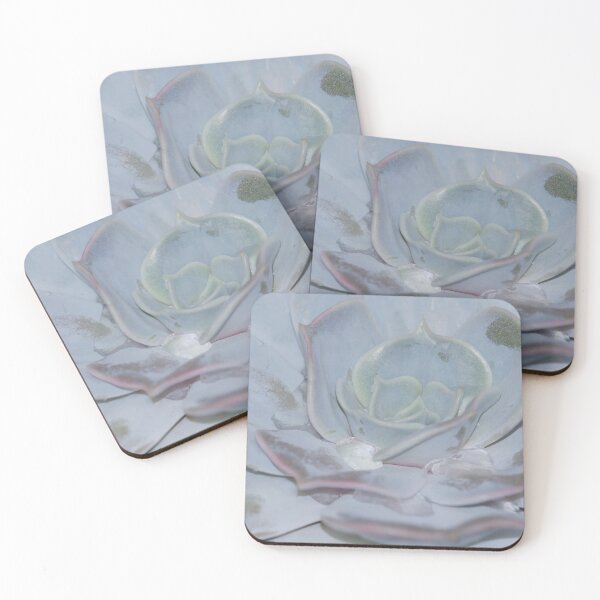 Item preview, Succulent Plant Botanic Garden designed and sold by eddiebarronshop.