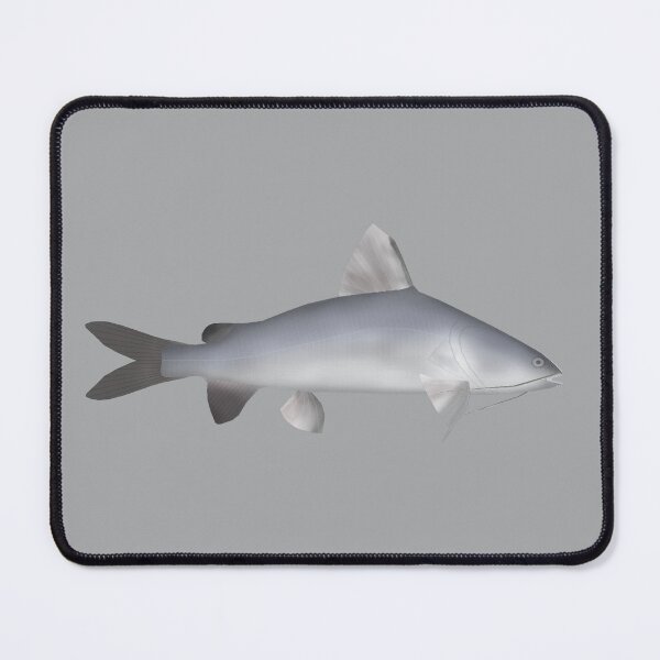 Item preview, Blue Salmon Catfish designed and sold by fishfolkart.