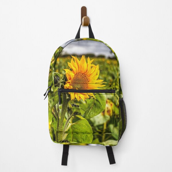 Item preview, Sunflower designed and sold by Paul Thompson Photography.