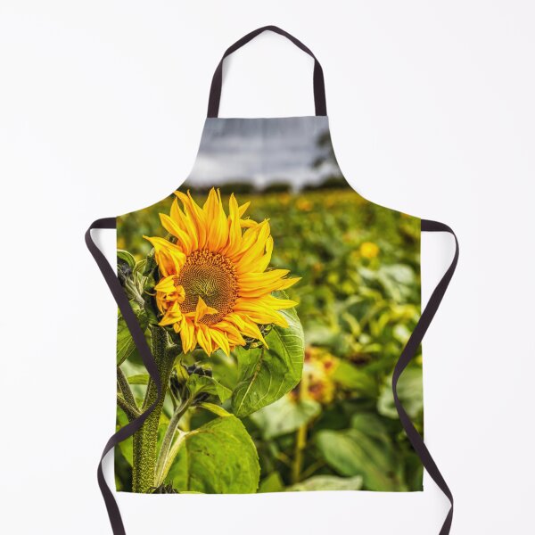 Item preview, Sunflower designed and sold by Paul Thompson Photography.
