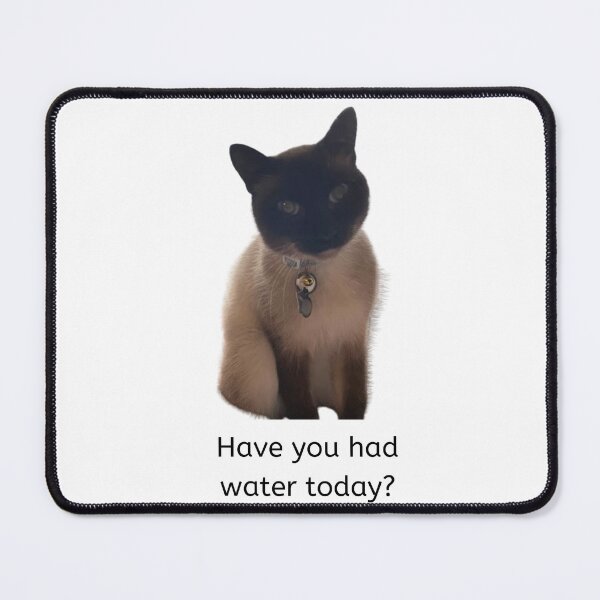 Item preview, Have you had water today? designed and sold by SeminaryGirlies.