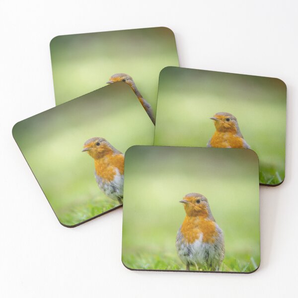 Item preview, Robin designed and sold by McanPhotography.