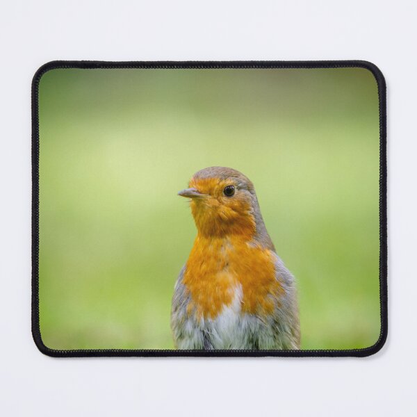 Item preview, Robin designed and sold by McanPhotography.
