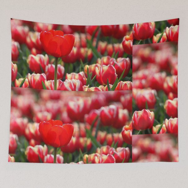 Item preview, One Red Tulip designed and sold by Jo Nijenhuis.