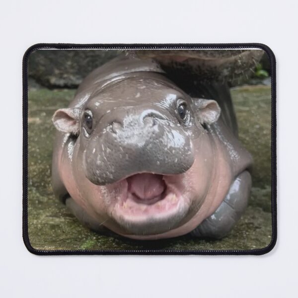 Item preview, Baby hippo Moo Deng designed and sold by MXTHLdesigns.