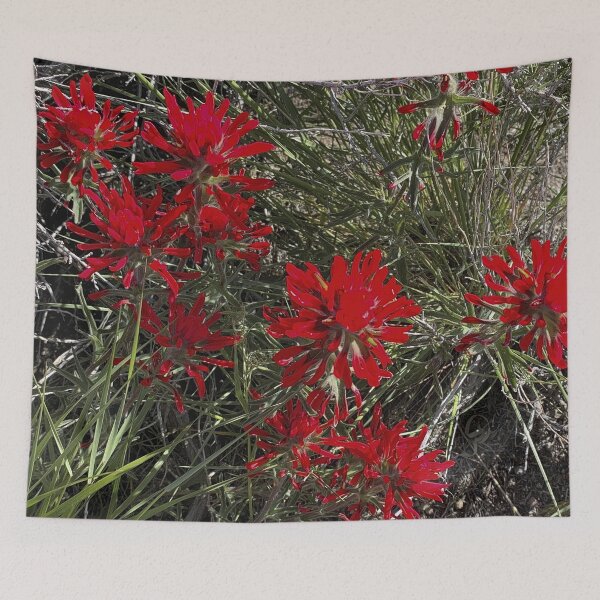 Item preview, Red Desert Flowers, Great Basin, Nevada designed and sold by Paul Morse.