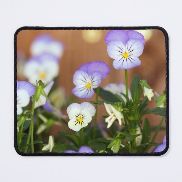 Item preview, Pansies designed and sold by Kenziewenze.