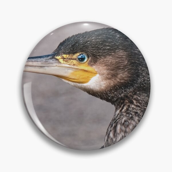 Item preview, Cormorant designed and sold by Tom McPherson Photography.