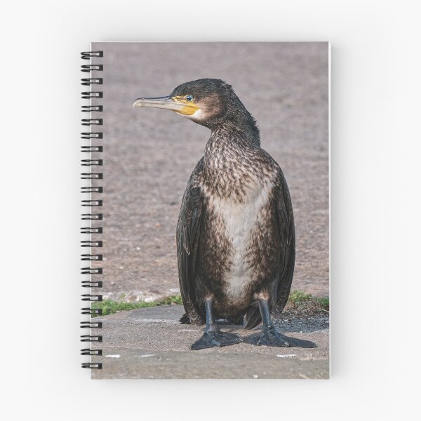 Item preview, Cormorant designed and sold by Tom McPherson Photography.