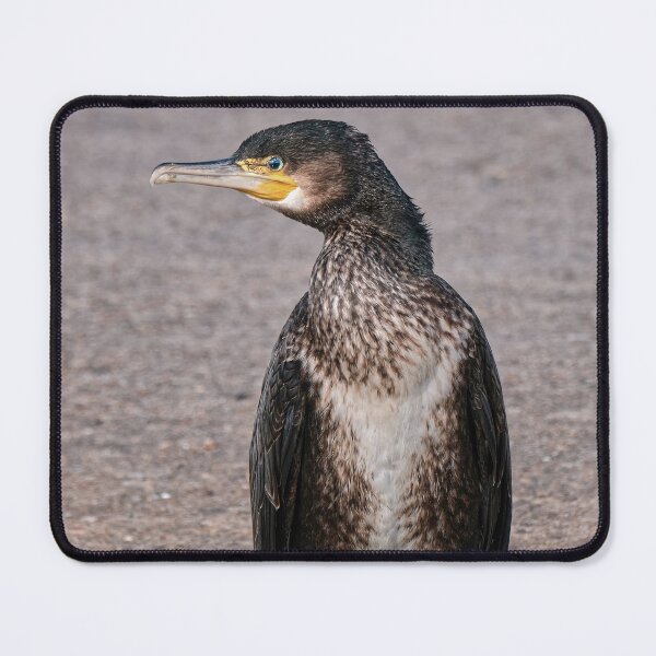 Item preview, Cormorant designed and sold by Tom McPherson Photography.