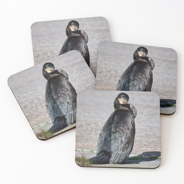 Item preview, Cormorant designed and sold by Tom McPherson Photography.