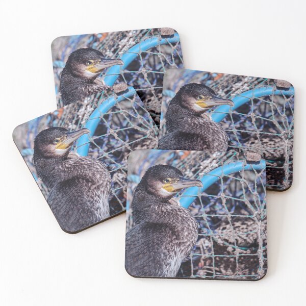Item preview, Cormorant Head Shot designed and sold by Tom McPherson Photography.