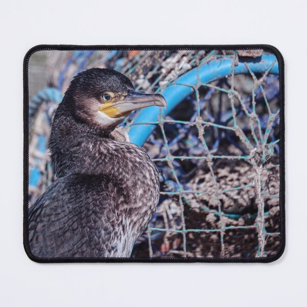 Item preview, Cormorant Head Shot designed and sold by Tom McPherson Photography.