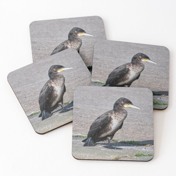 Item preview, Lonesome Cororant designed and sold by Tom McPherson Photography.