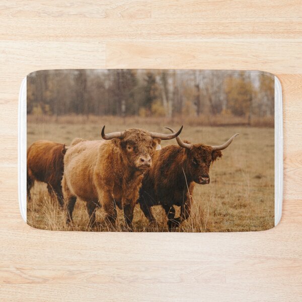 Item preview, Highland Cow designed and sold by wildgraphics.