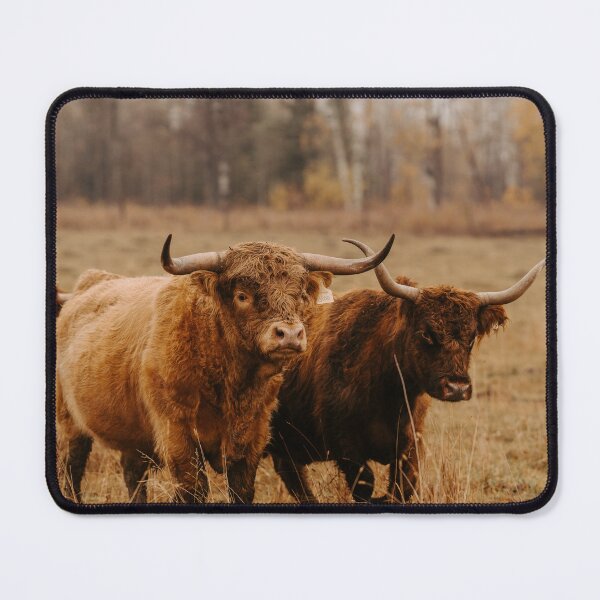 Item preview, Highland Cow designed and sold by wildgraphics.