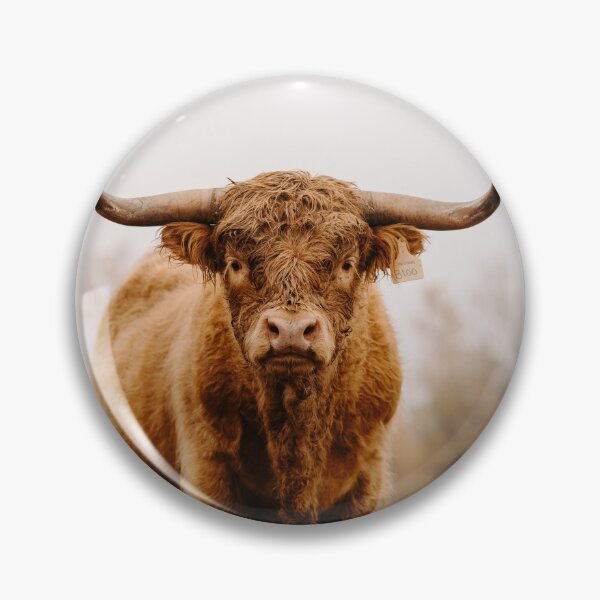 Item preview, Highland bull designed and sold by wildgraphics.