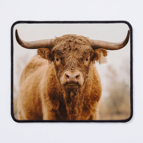Item preview, Highland bull designed and sold by wildgraphics.