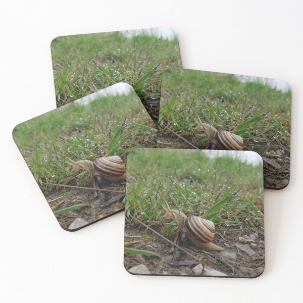 Item preview, A Snail's View designed and sold by AmazingAmanda42.