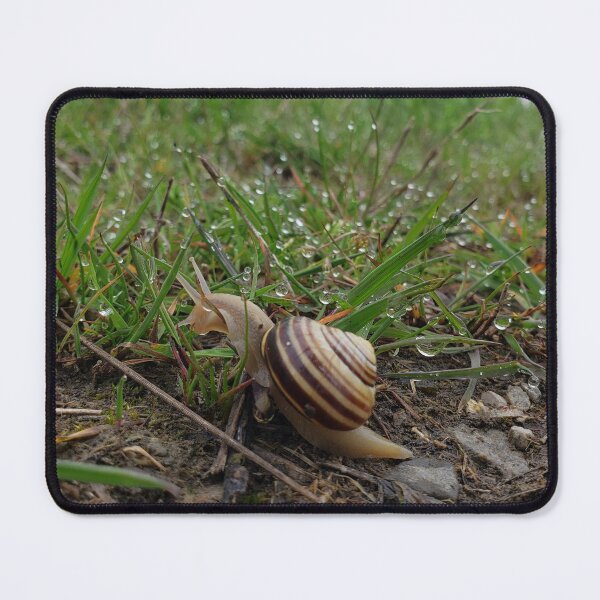Item preview, A Snail's View designed and sold by AmazingAmanda42.