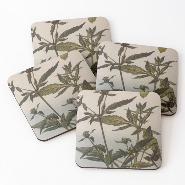 Item preview, Bidens style. designed and sold by Valgasnews011.