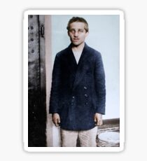 Gavrilo Princip in his prison cell at the TerezÃn fortress, 1914 Sticker