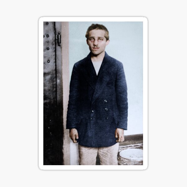 Gavrilo Princip in his prison cell at the Terezín fortress, 1914 Sticker