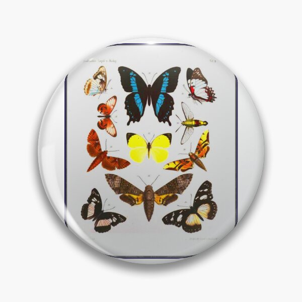 Item preview, Vintage Butterfly Illustration of Blue, Orange, Black, and Yellow butterflies designed and sold by EelandOctopus.