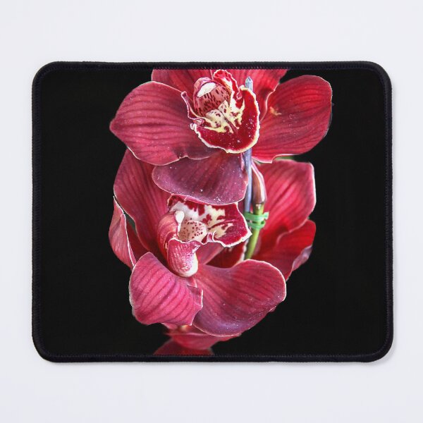 Item preview, Cymbidiums Orchids designed and sold by Bernai Velarde.