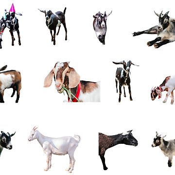 Artwork thumbnail, Herd of Goats by BrushMunchers