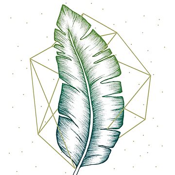 Nature Geometry V Art Print