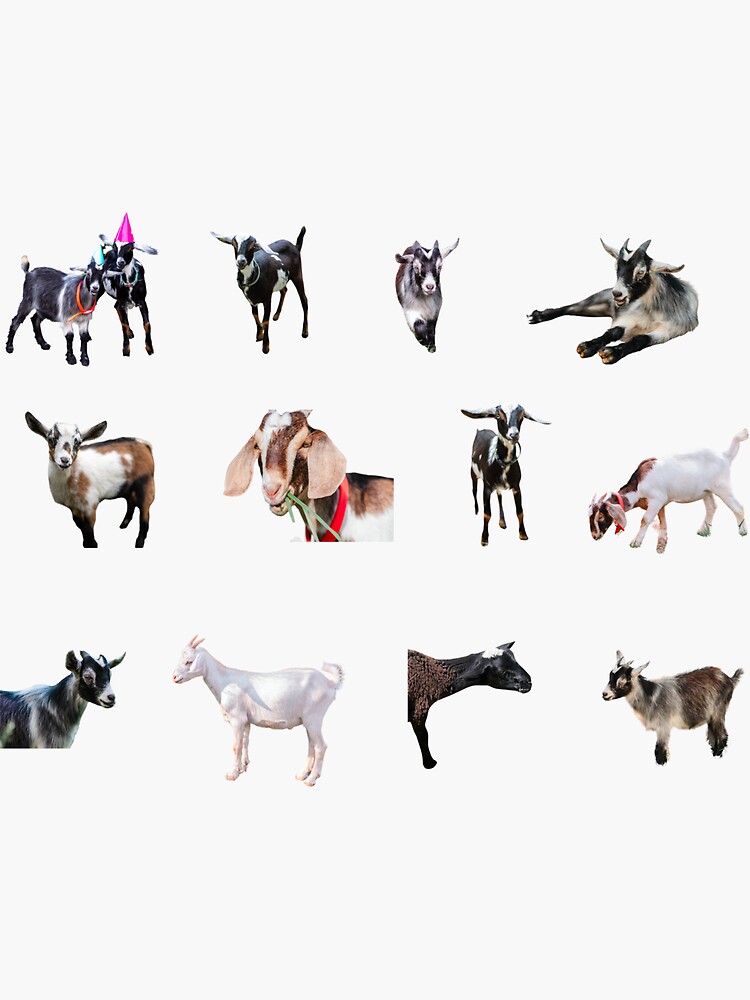 Thumbnail 3 of 3, Sticker, Herd of Goats designed and sold by BrushMunchers.