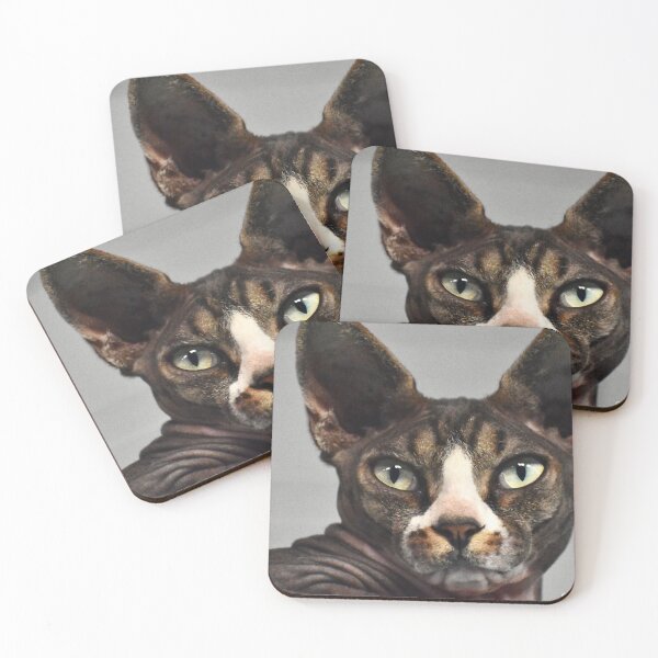 Item preview, Halloween Egyptian Hairless Cat with Green Eyes Fine Art designed and sold by Yogibear & Rachelle .