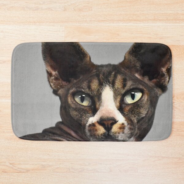 Item preview, Halloween Egyptian Hairless Cat with Green Eyes Fine Art designed and sold by Yogibear & Rachelle .