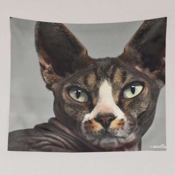Item preview, Halloween Egyptian Hairless Cat with Green Eyes Fine Art designed and sold by Yogibear & Rachelle .